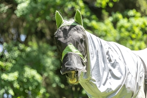 The Ultimate Guide to Choosing the Ideal Summer Horse Rugs The Ultimate Guide to Choosing the Ideal Summer Horse Rugs
