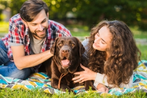 Increase in UK pet ownership due to more time at home  Increase in UK pet ownership due to more time at home
